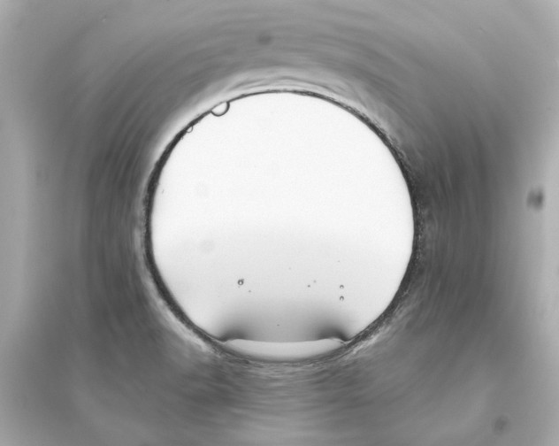 X0000093581518200711121049