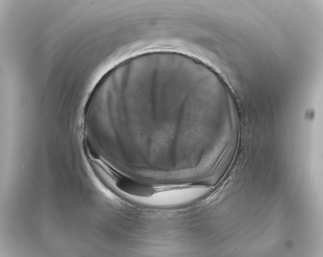 X0000093581519200711121049