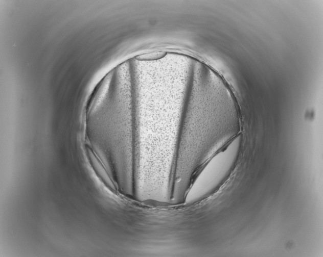 X0000093581520200711121049