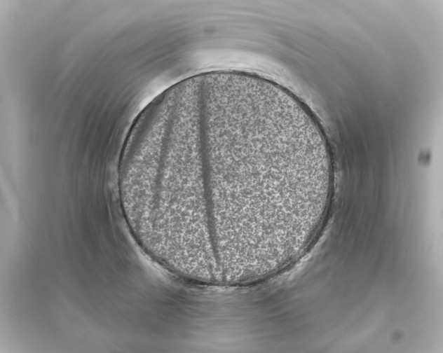 X0000093581521200711121049