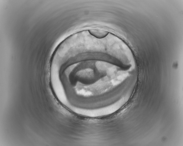 X0000093581522200711121049