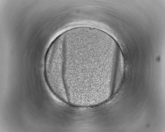 X0000093581523200711121049