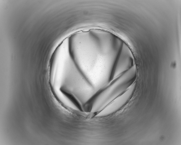 X0000093581524200711121049