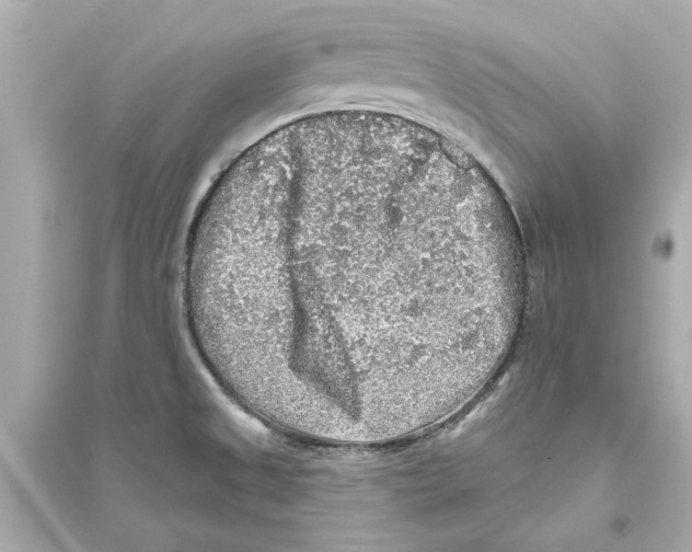 X0000093581525200711121049