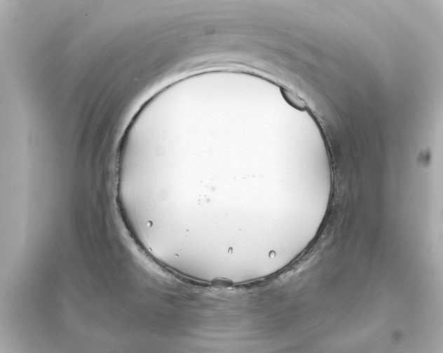 X0000093581526200711121049