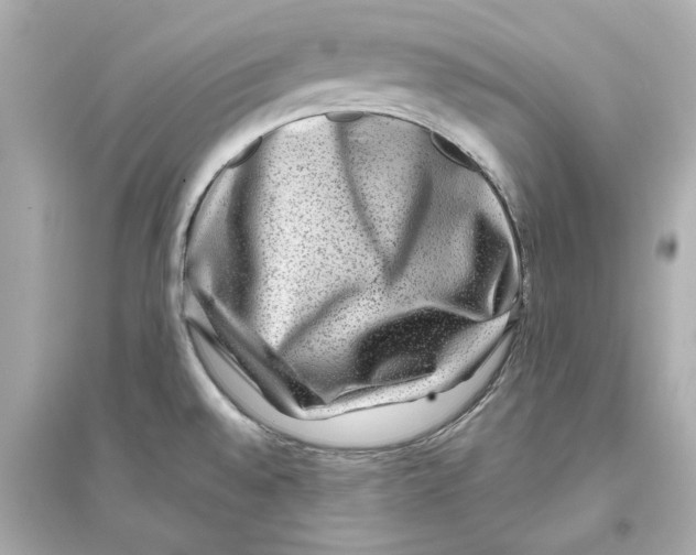 X0000093581528200711121049