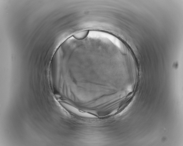 X0000093581529200711121049