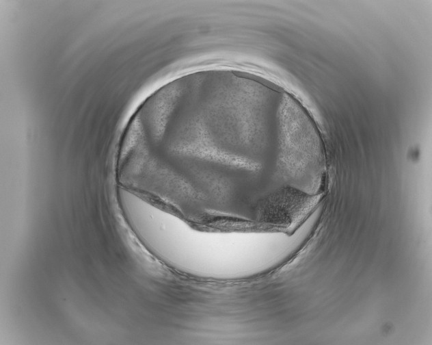 X0000093581530200711121049