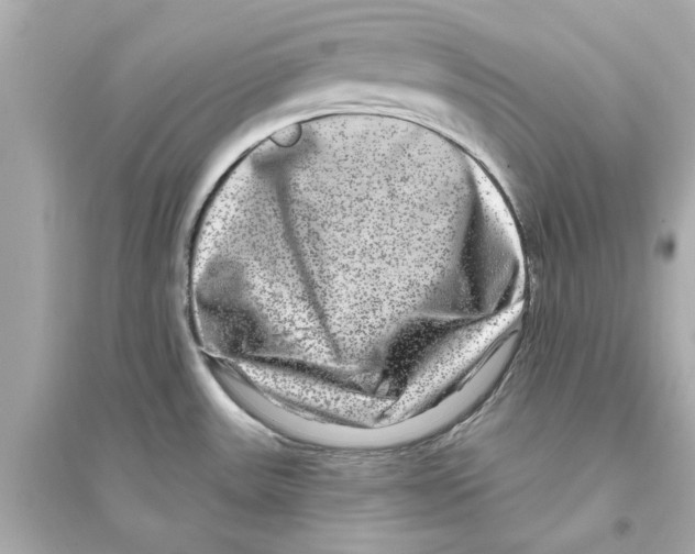 X0000093581531200711121049