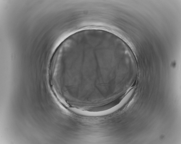 X0000093581533200711121049