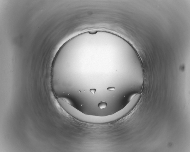 X0000093581534200711121049