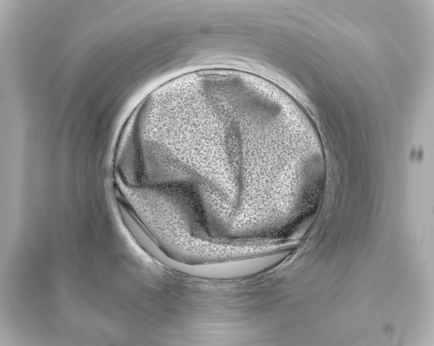 X0000093581536200711121049