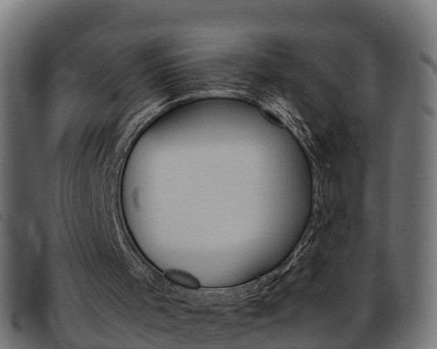 X0000093590001200710151026