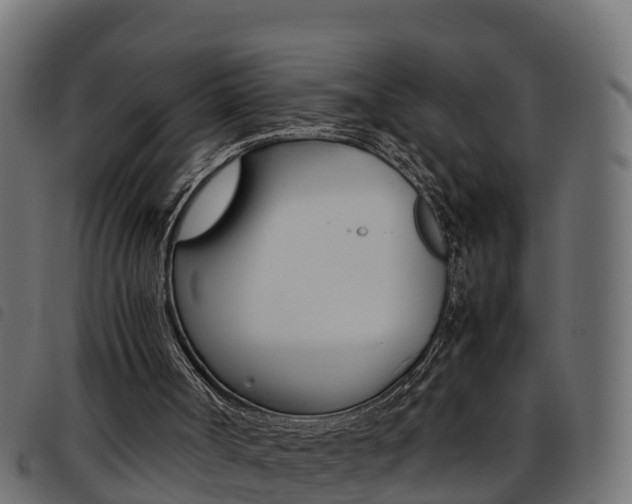 X0000093590002200710151026
