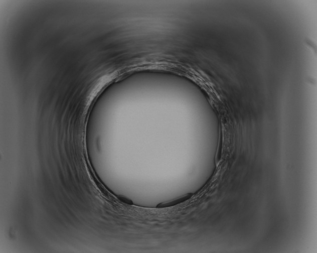 X0000093590003200710151026