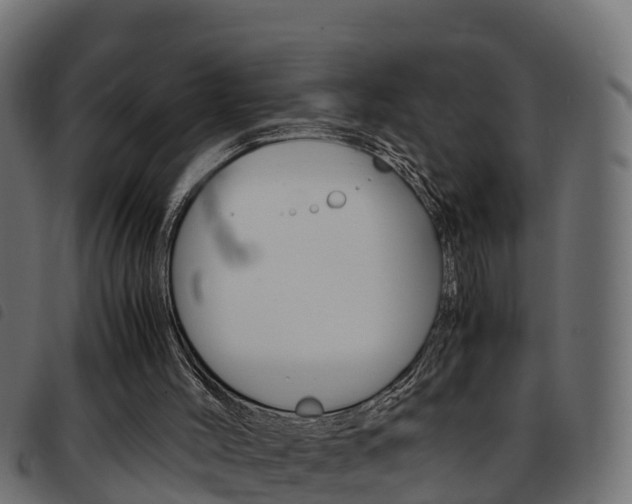 X0000093590004200710151026