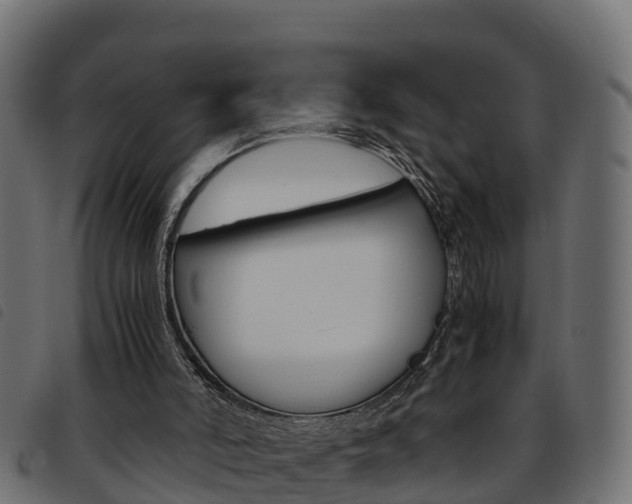 X0000093590006200710151026