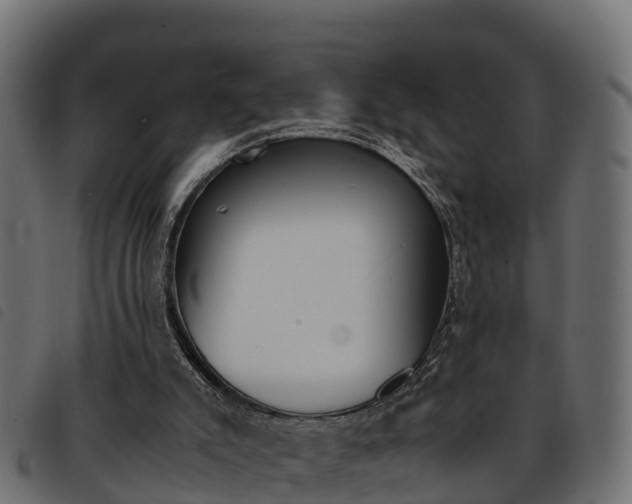 X0000093590007200710151026