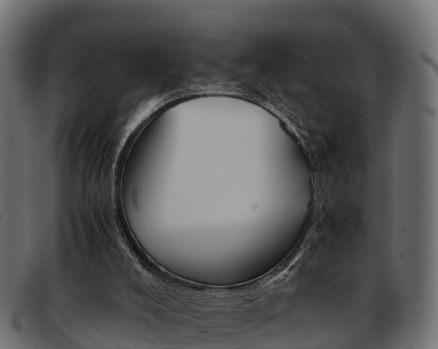 X0000093590008200710151026