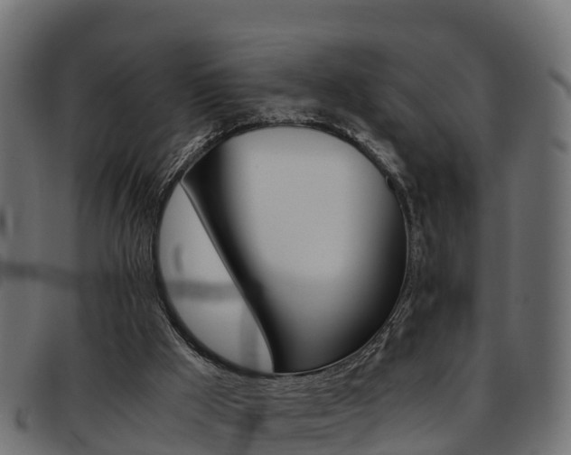 X0000093590009200710151026