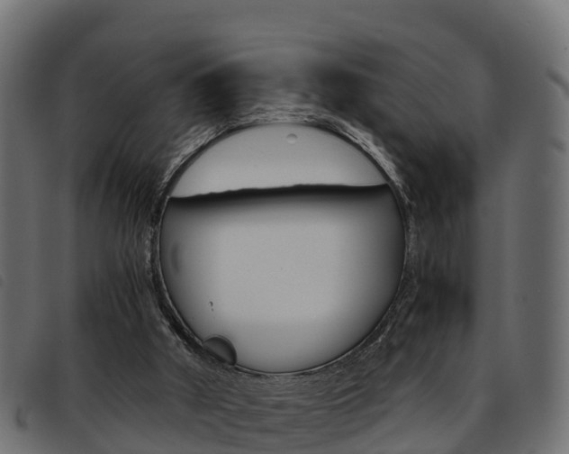 X0000093590010200710151026