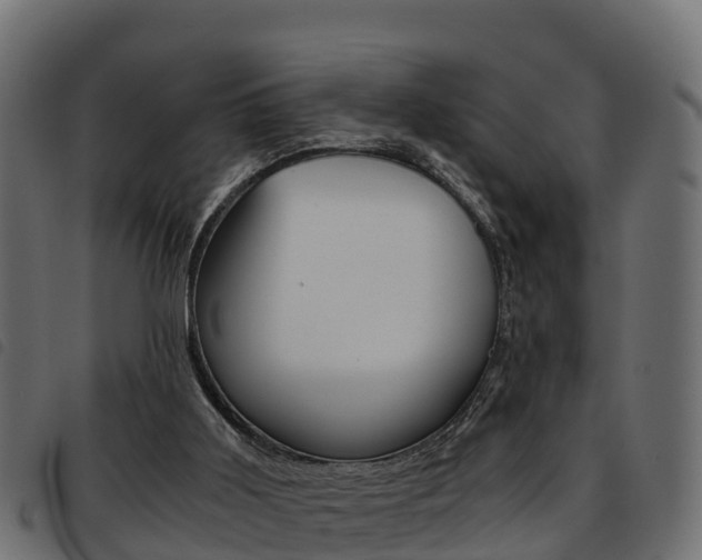 X0000093590011200710151026