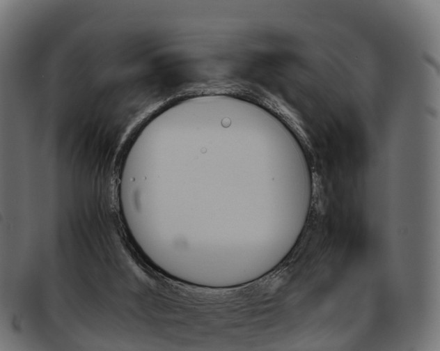 X0000093590012200710151026