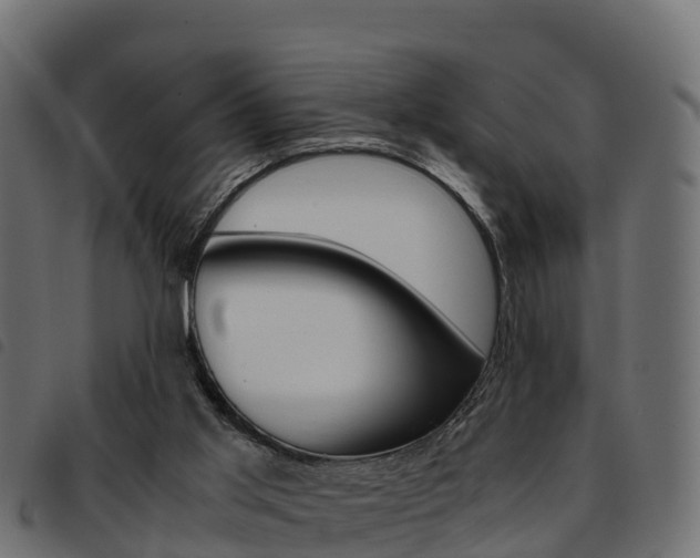 X0000093590013200710151026