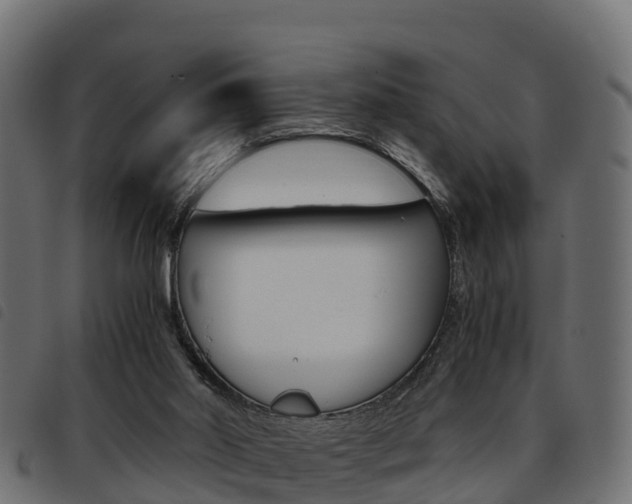 X0000093590014200710151026