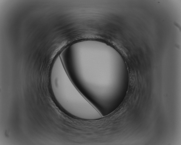 X0000093590015200710151026