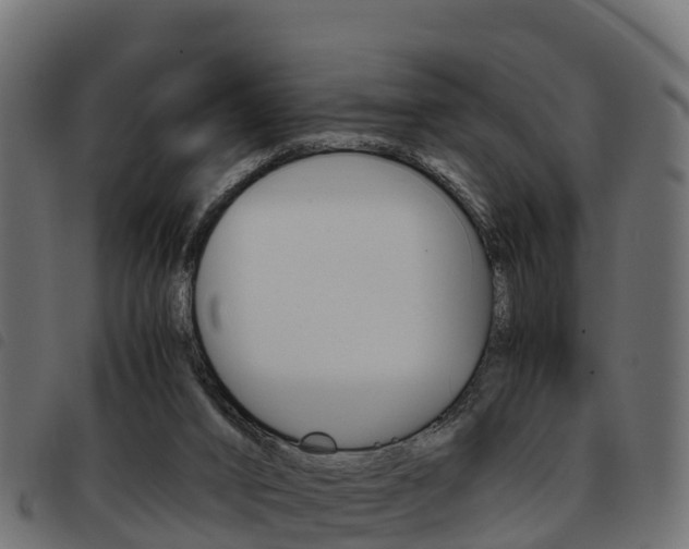 X0000093590016200710151026