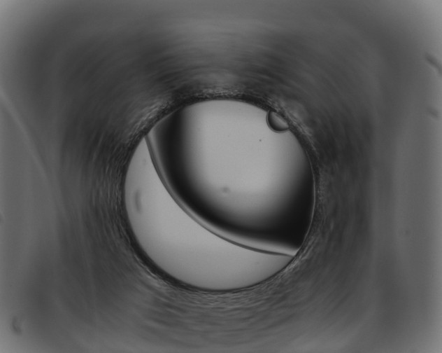 X0000093590017200710151026