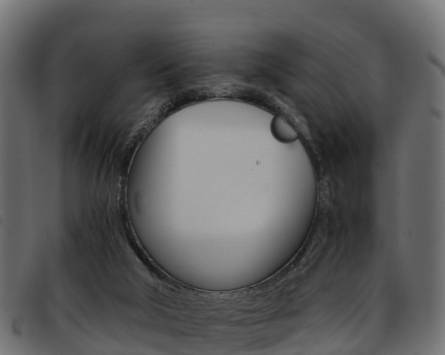 X0000093590018200710151026