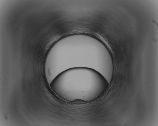 X0000093590019200710151026