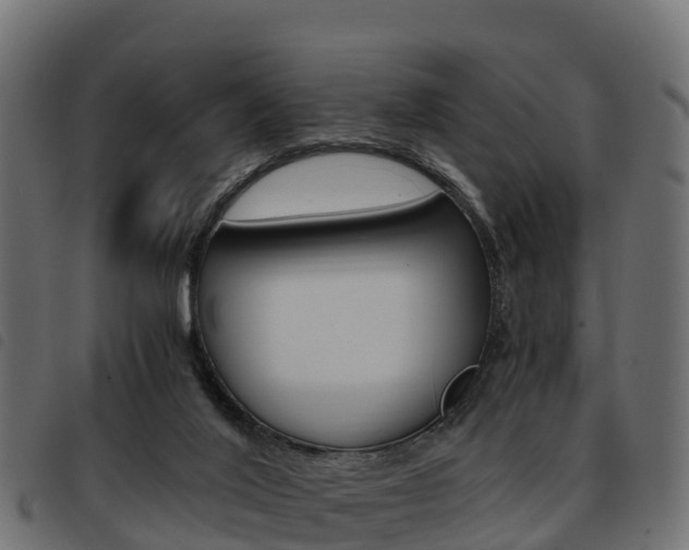 X0000093590020200710151026