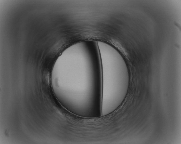 X0000093590021200710151026