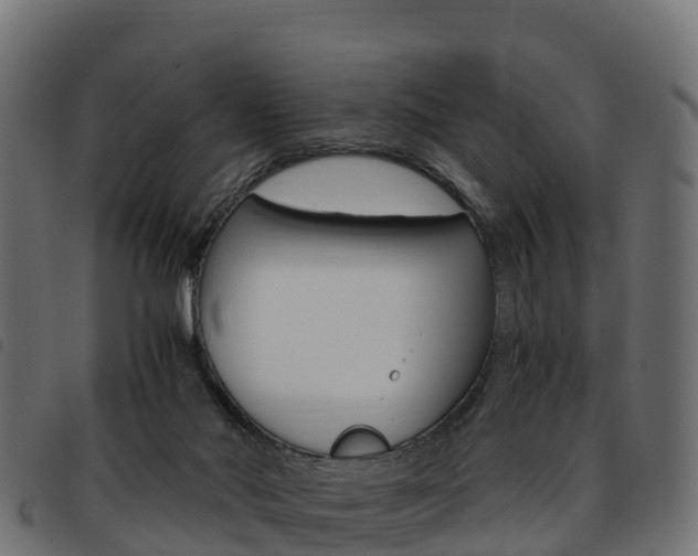 X0000093590022200710151026