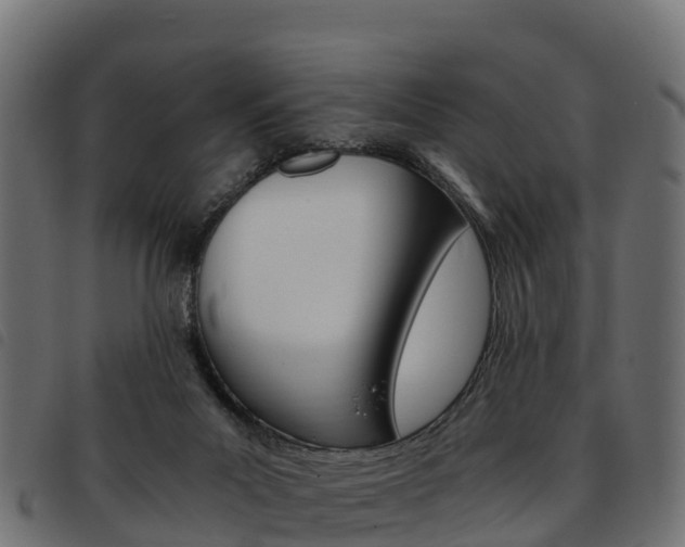 X0000093590023200710151026
