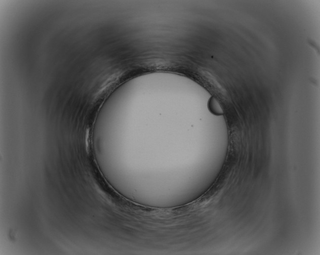 X0000093590024200710151026