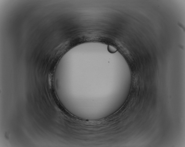X0000093590026200710151026