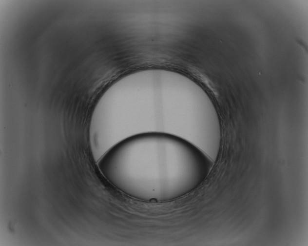 X0000093590027200710151026