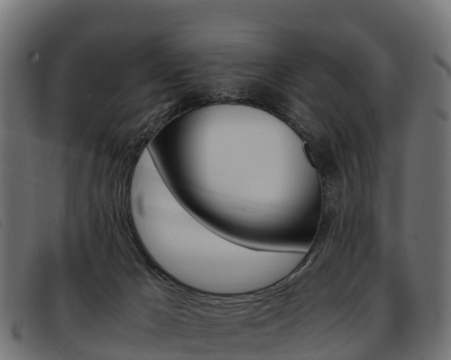 X0000093590029200710151026
