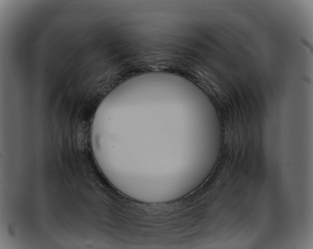 X0000093590030200710151026