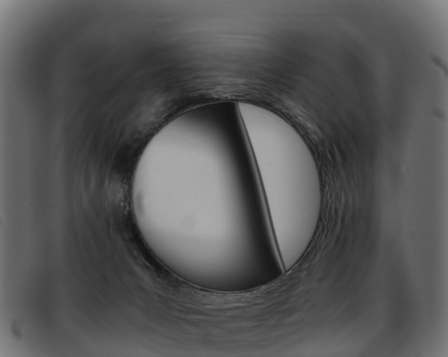 X0000093590031200710151026