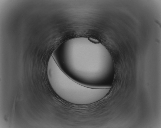 X0000093590033200710151026