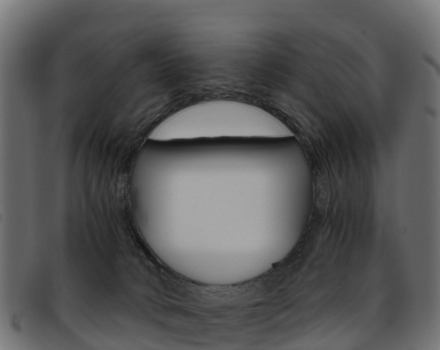 X0000093590034200710151026
