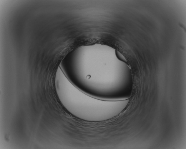 X0000093590037200710151026