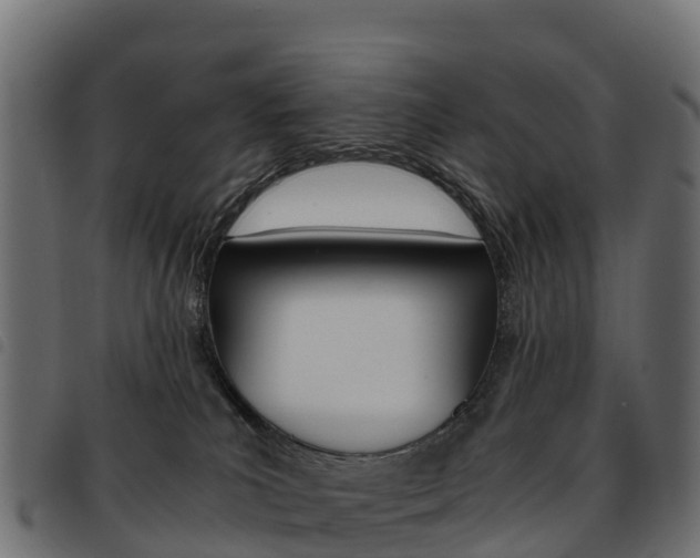 X0000093590039200710151026