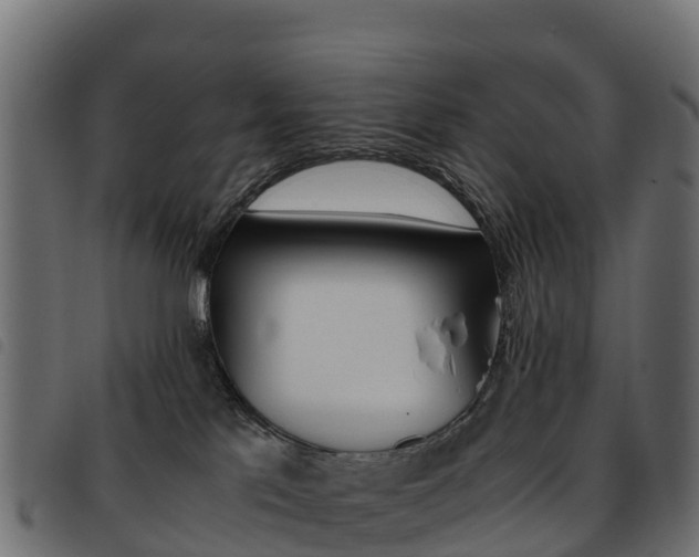 X0000093590041200710151026