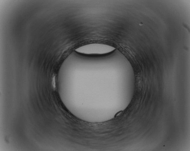 X0000093590042200710151026